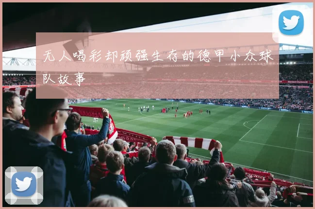 无人喝彩却顽强生存的德甲小众球队故事
