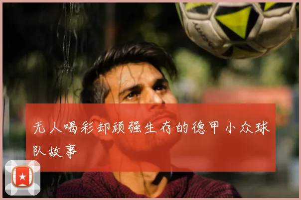无人喝彩却顽强生存的德甲小众球队故事